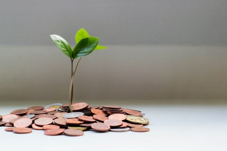 EPF Account 3 (Akaun Fleksibel): Should You Withdraw Now or Let It Grow?